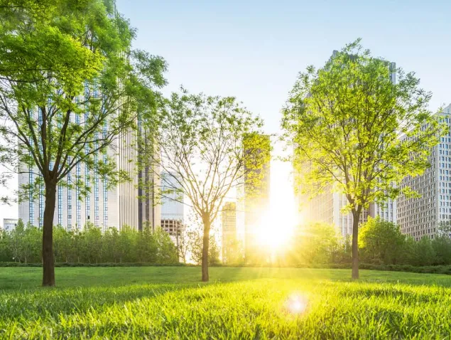 2020 Annual Report: Geared Towards a Sustainable Future