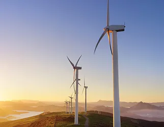 2024 Annual Report:                                                     Future Proof